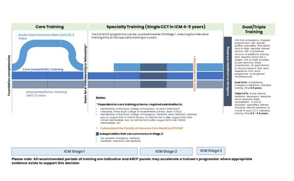 Diagram demonstrating the ICM CCT Training Pathway 