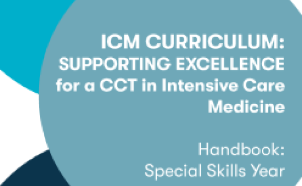 ICM Curriculum SSY Handbook Cover
