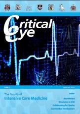 Critical_eye_cover_aug2012