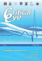 Critical_eye_cover_aug2013