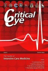 Critical_eye_cover_aug2014