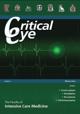 Critical_eye_cover_jan2013